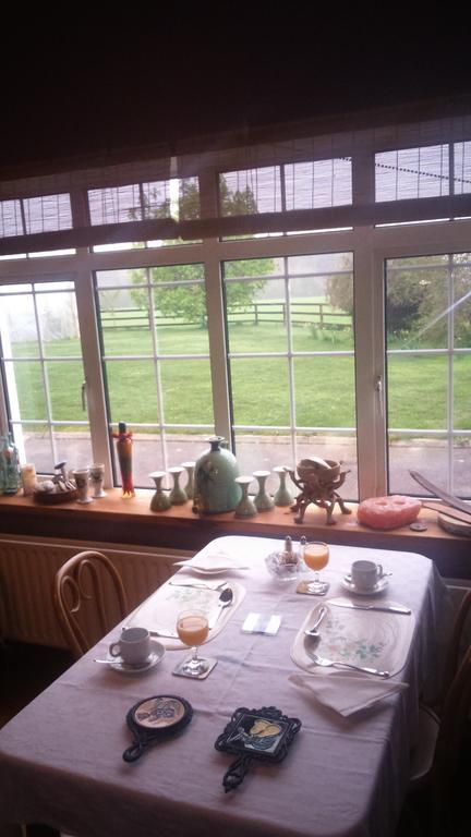 Aurora House Bed And Breakfast Athy Kültér fotó